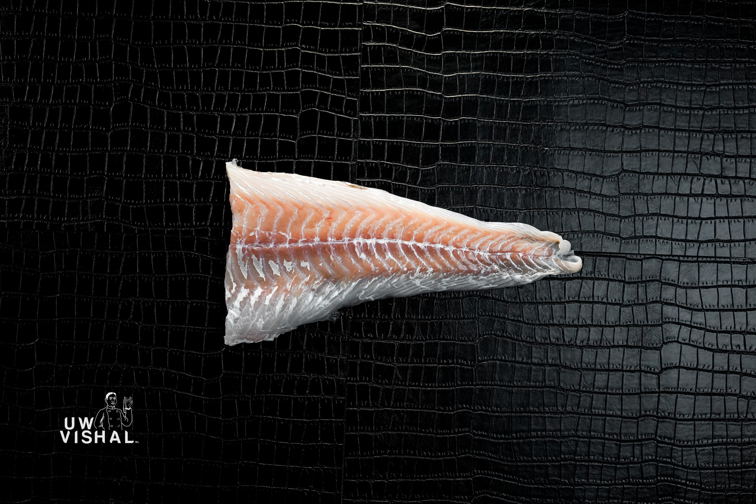 uwvishal online vis bestellen vis bestellen online webshop vis alle soorten vis uwvishal.nl uw vis hal vis kopen viswinkel online vishal11 uwvishal online vis bestellen vis bestellen online webshop vis alle soorten vis uwvishal.nl uw vis hal vis kopen viswinkel online vishal11