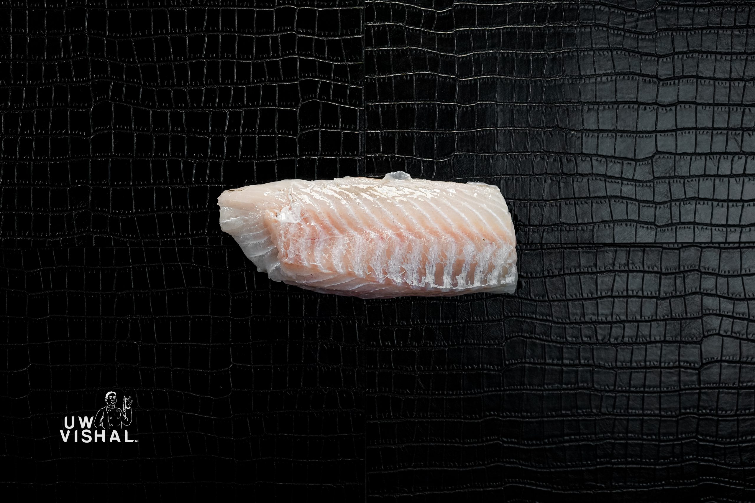 uwvishal online vis bestellen vis bestellen online webshop vis alle soorten vis uwvishal.nl uw vis hal vis kopen viswinkel online vishal12 uwvishal online vis bestellen vis bestellen online webshop vis alle soorten vis uwvishal.nl uw vis hal vis kopen viswinkel online vishal12