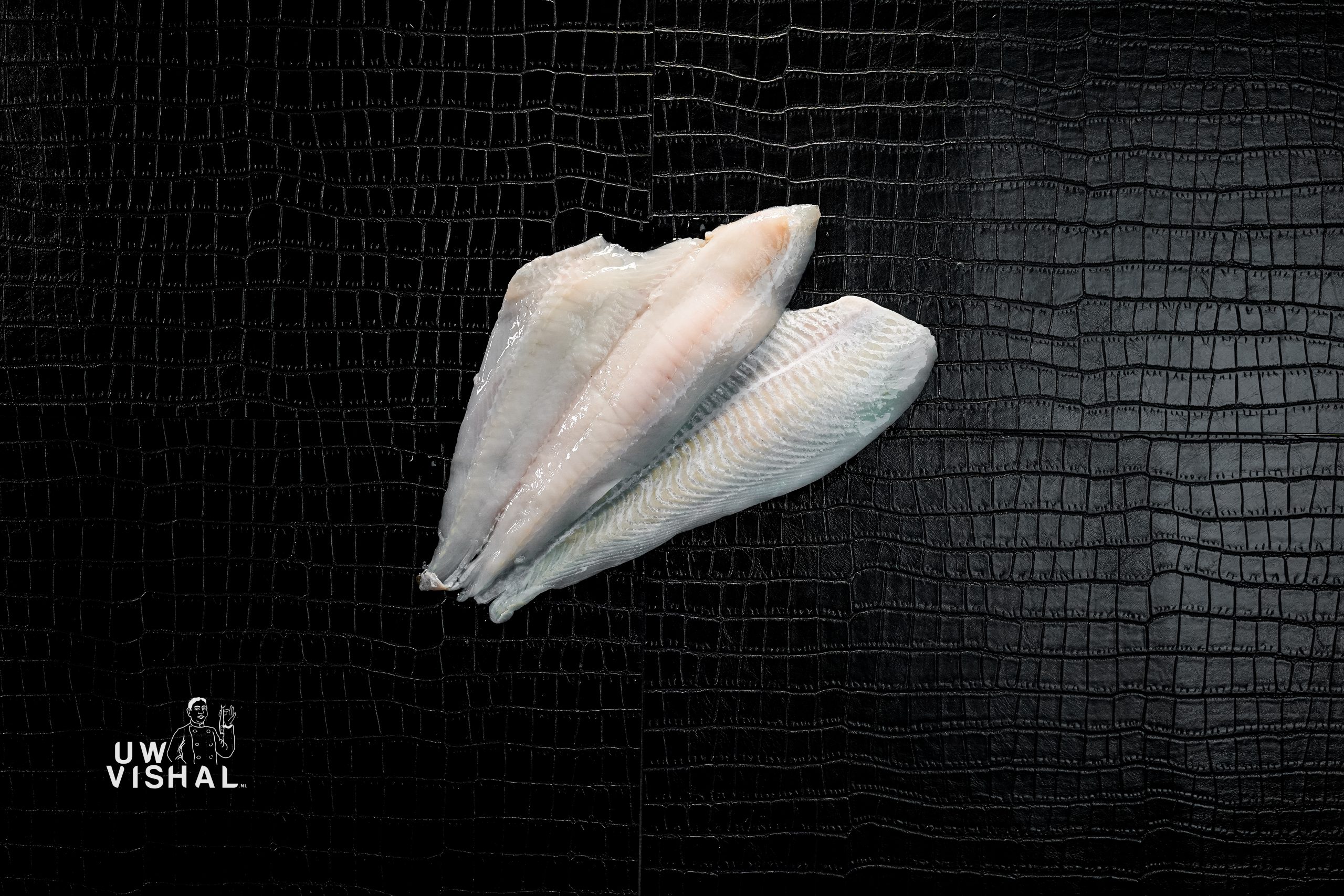 Scholfilet uwvishal online vis bestellen vis bestellen online webshop vis alle soorten vis uwvishal.nl uw vis hal vis kopen viswinkel online vishal15 Scholfilet uwvishal online vis bestellen vis bestellen online webshop vis alle soorten vis uwvishal.nl uw vis hal vis kopen viswinkel online vishal11