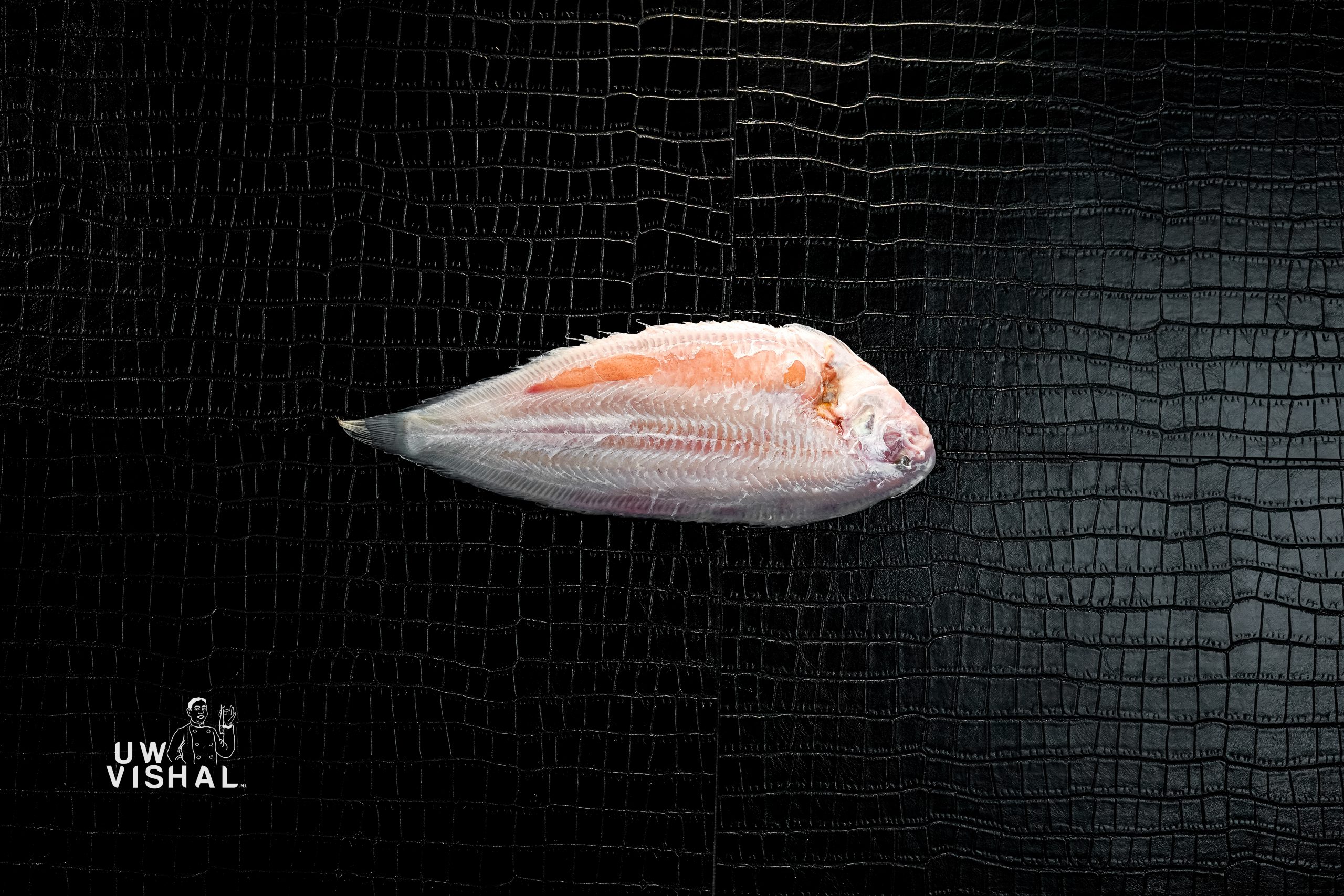 uwvishal online vis bestellen vis bestellen online webshop vis alle soorten vis uwvishal.nl uw vis hal vis kopen viswinkel online vishal18 uwvishal online vis bestellen vis bestellen online webshop vis alle soorten vis uwvishal.nl uw vis hal vis kopen viswinkel online vishal11