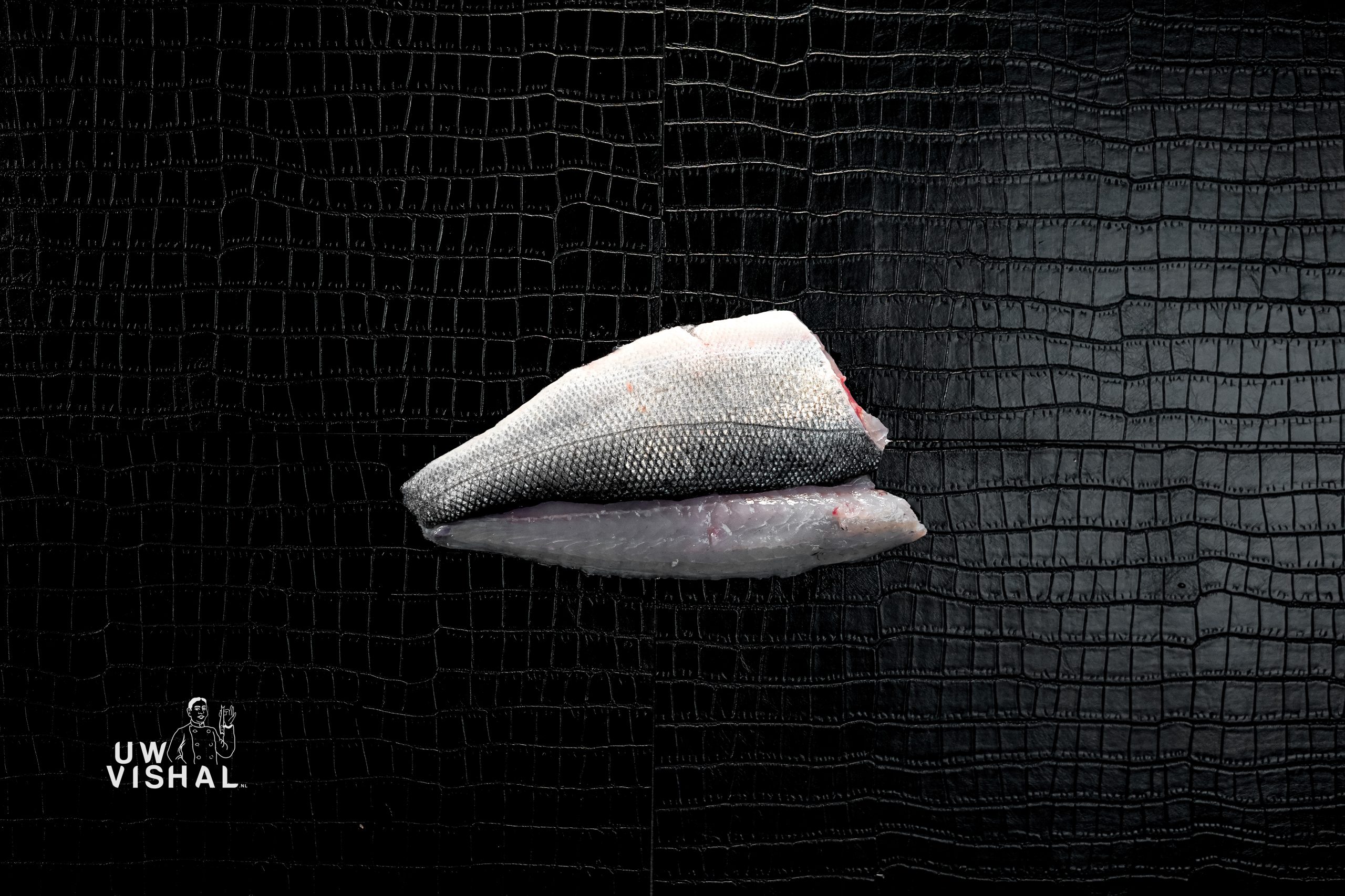 uwvishal online vis bestellen vis bestellen online webshop vis alle soorten vis uwvishal.nl uw vis hal vis kopen viswinkel online vishal21 uwvishal online vis bestellen vis bestellen online webshop vis alle soorten vis uwvishal.nl uw vis hal vis kopen viswinkel online vishal11